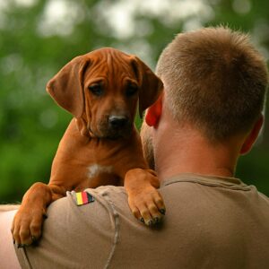 Alle Welpen haben ein wundervolles Zuhause gefunden
